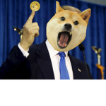 DOGES ARE AWESOME!!!!!!!