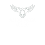 Skyward Game Studios