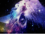 Kitty unicorn cute