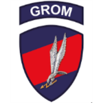 Polish Forces GROM
