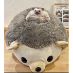Dansakii Bank O