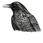The Crows Eternal Empire