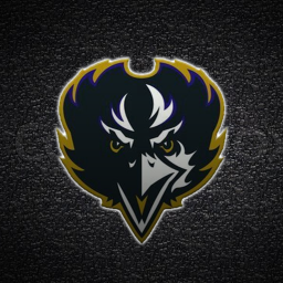 Ravens Stadium: DFW Ravens
