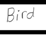 tHe BeRd GROupp