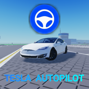 Tesla Autopilot [ BETA ]