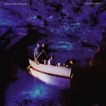 Echo & the Bunnymen