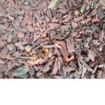 Team wood chip