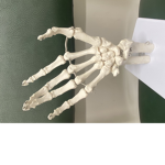 Skeleton Hand