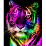 Rainbow_Lounge
