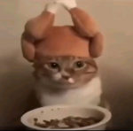Kiwi maiken