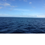 The Ocean Studios