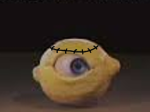 Lemon God Gang