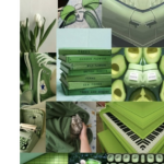 butterflys roblox
