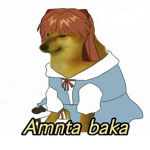 Amnta baka