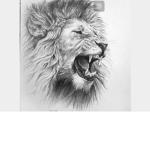 Lions's Squad