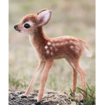 SaveNature