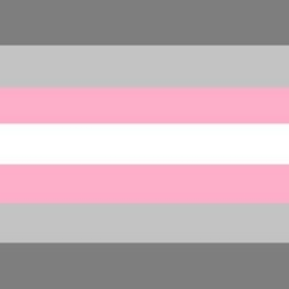 Demi Girl Flag Roblox decal