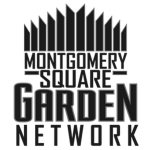 MSG Network