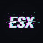 ESX Team