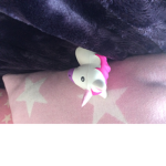 The unicorn gang 101304