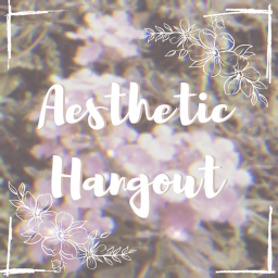 Aesthetic Hangout