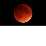 society of the eclipse