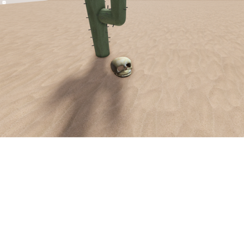 Combat 🌵