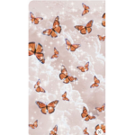 Aesthetic---