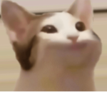 Cat(“*.*”)