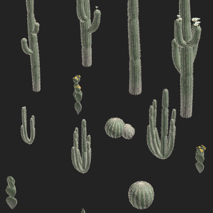 Realistic Cactus Pack