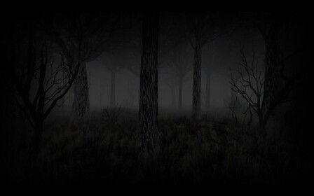 Shady memories (Scary horror game)
