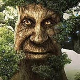 Wise Mystical Tree icon