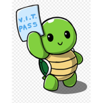 Turtles:3
