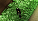 Cash in da hood