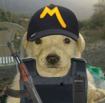CV DO P3U