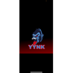 YNK (YOUNG N KILLAS)