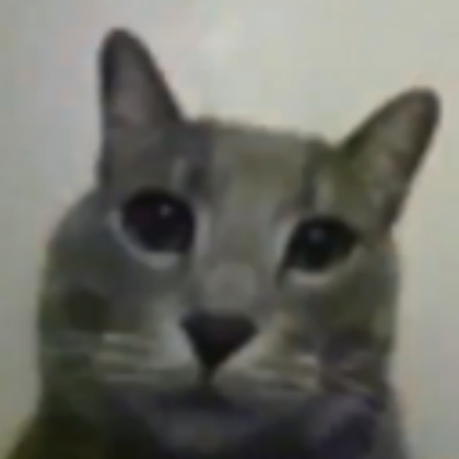 silly goofy little cat Roblox decal