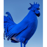 Chicken Battalion for ever