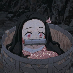 °o°