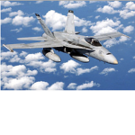 The Hornet’s