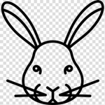 Rabbits Entertainment