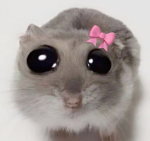 ~ мєℓση’ѕ вαℓ∂ιєѕ ~