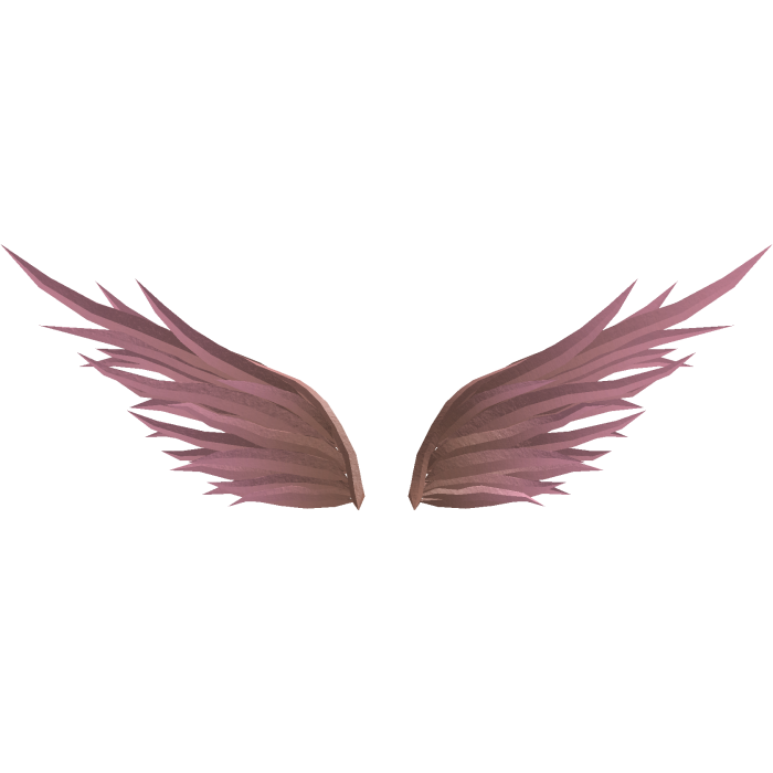 Rose Gold Wings