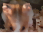 I will eat u <3