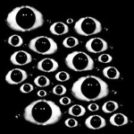 the watchers council