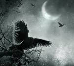 RavennClaws