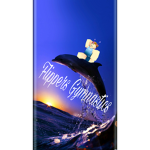 Flippers Gymnastics