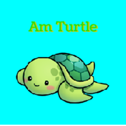 Turtle Studio72 Hub