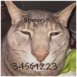Stinkers!!!