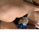 George of the cat